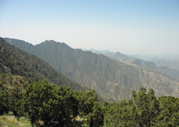 abha city