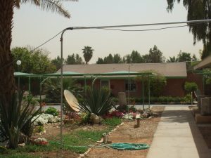 Cheap rent for Saudi Expats 