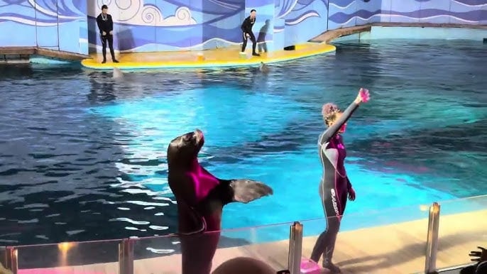 Fakieh Aquarium
