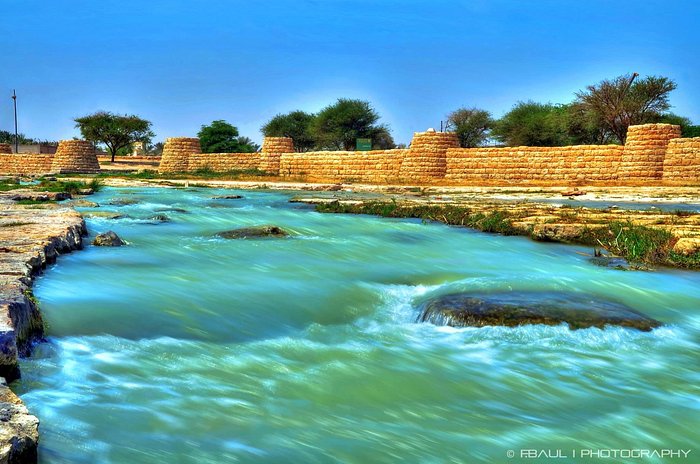 Naseem Riyadh