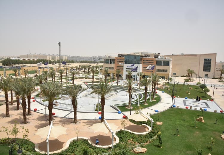 Prince Sultan University