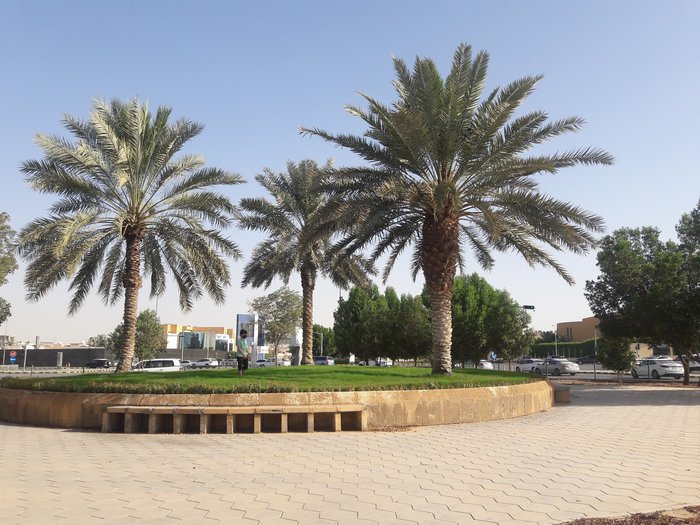 Al Nahda Riyadh
