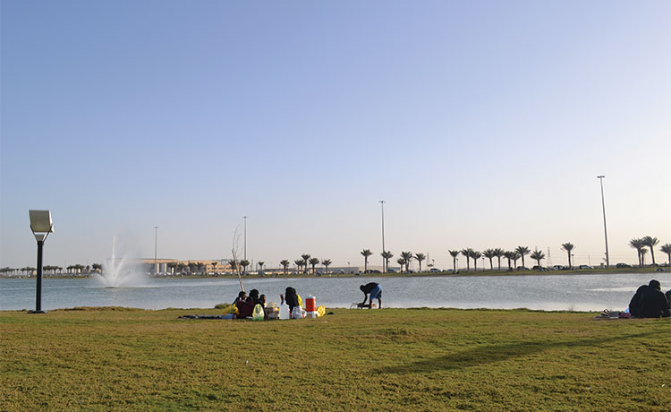Modon Lake Park
