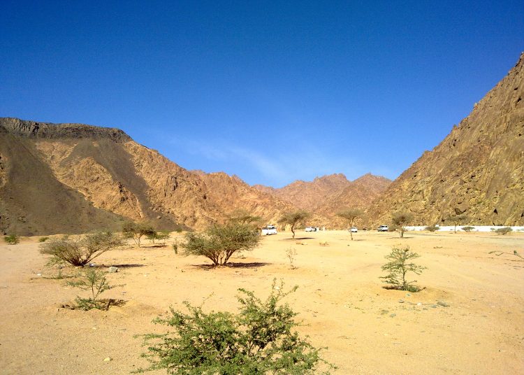 Wadi E Jin
