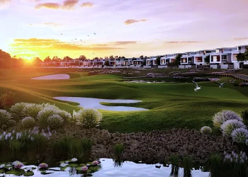 DarGlobal Signature Amenities