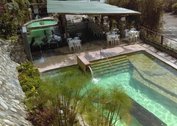 Tierra Viva DarGlobal