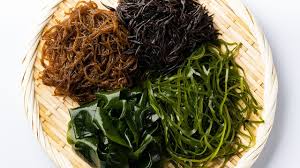 Wakame Japanese Cuisine