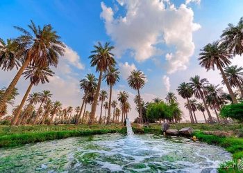 Al-Ahsa Oasis