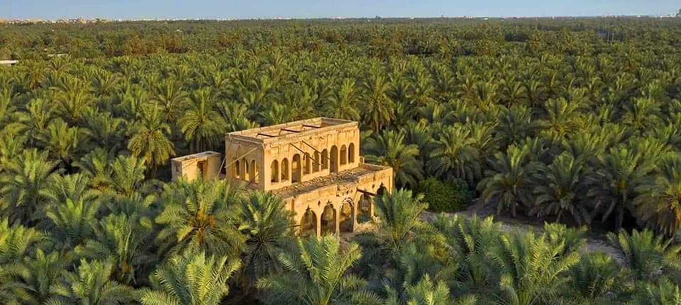 Al Ahsa Oasis The Magnificent Jewel Of Saudi Arabia Wasalt Blog