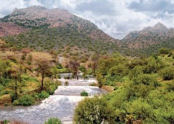 Ash Shafa Village