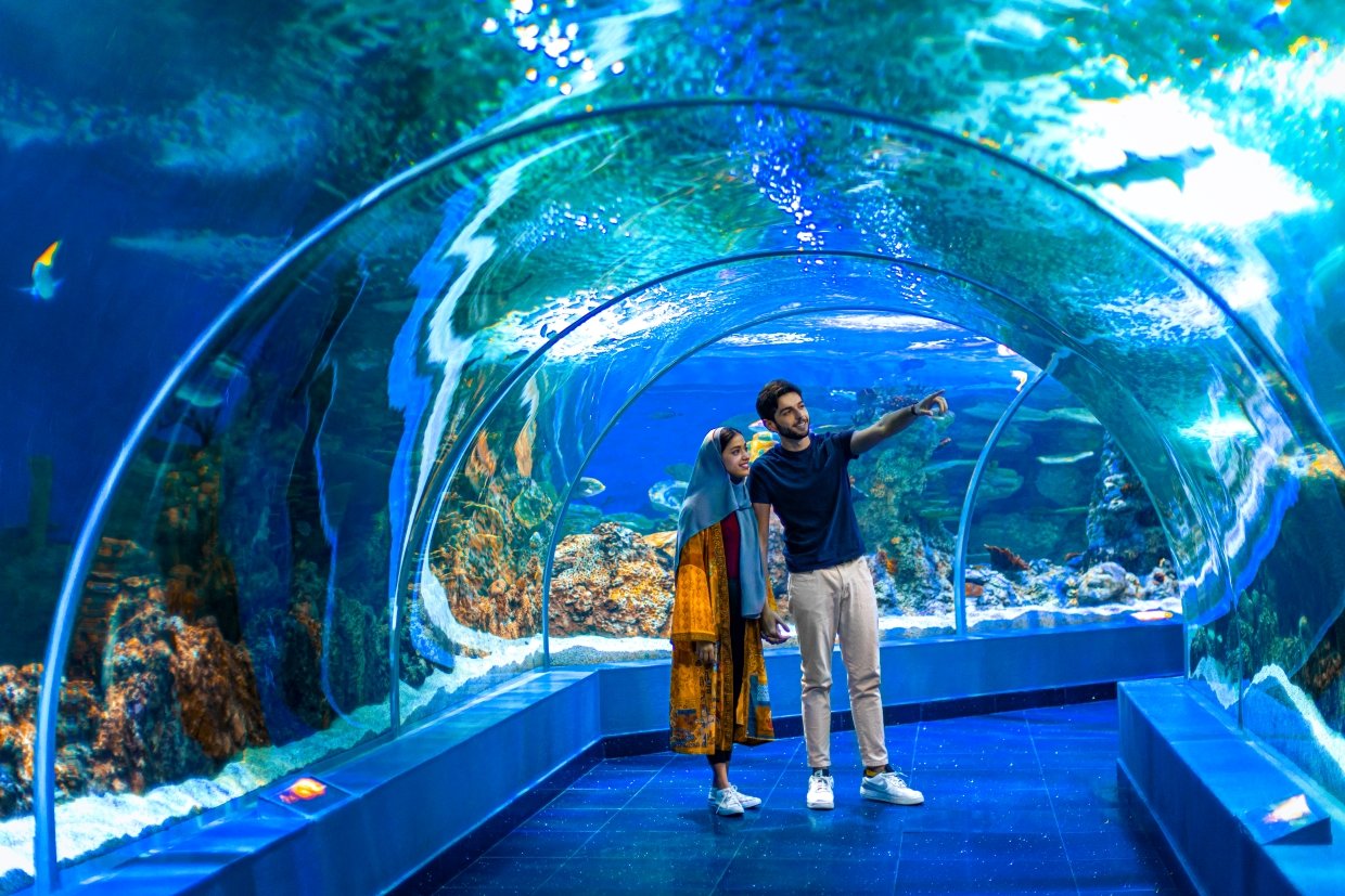 The Jeddah Aquarium
