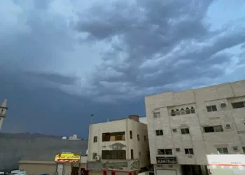 حي العريض المدينة المنورة