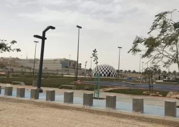 حي النخيل الرياض