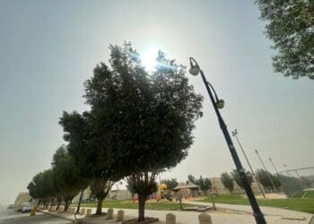 حي المنار الرياض