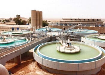 حي بدر الرياض