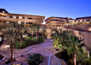 حي لبن الرياض