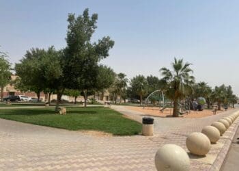 حي ظهرة البديعة الرياض