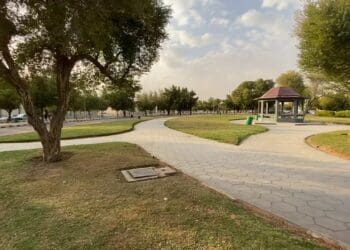 حي الربوة الرياض