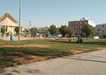 حي السعادة الرياض