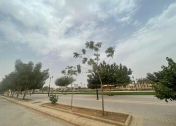 حي عكاظ الرياض