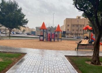 حي العقيق الرياض