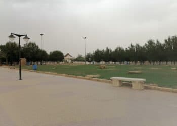 حي العليا الخبر