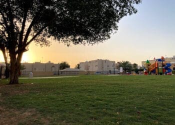 حي الوادي الرياض