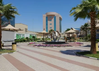 حي عليشه الرياض