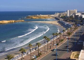 دليل احياء الخبر