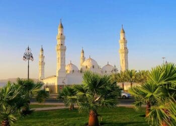 حي العنابس المدينة المنورة