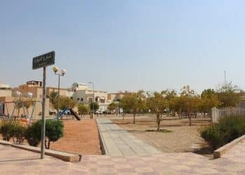 حي التعاون الرياض