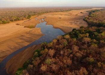 أهم المحميات الطبيعية في السعودية