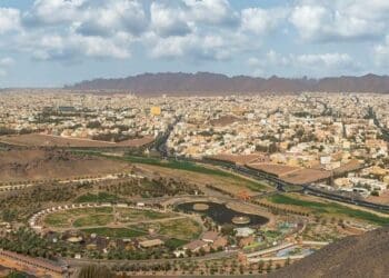 احياء حائل الراقية