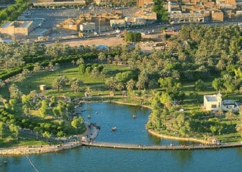 مشروع الرياض الخضراء