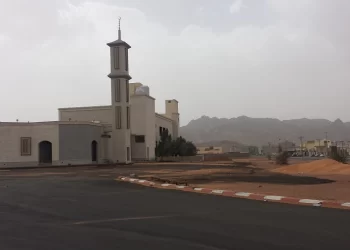 حي الرصف حائل