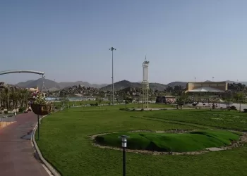 حي النسيم الطائف