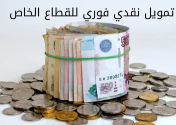 تمويل نقدي فوري للقطاع الخاص