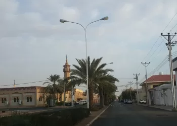 حي الجامعيين حائل
