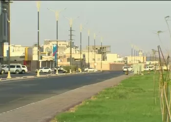 حي المصيف حائل