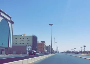 حي الورود تبوك