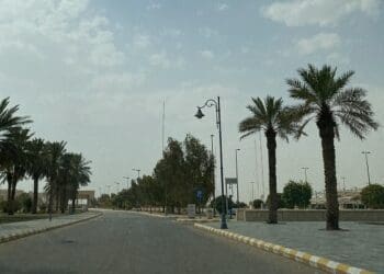 حي الرماية الرياض