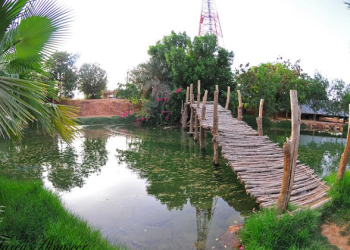 8 من اشهر مزارع القصيم