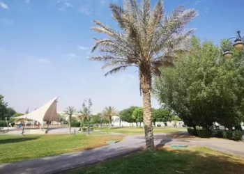 حي الهدا الرياض وأهم المعلومات حوله