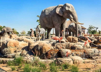 حديقة الحيوانات جدة: افضل 7 من حديقة الحيوان جدة