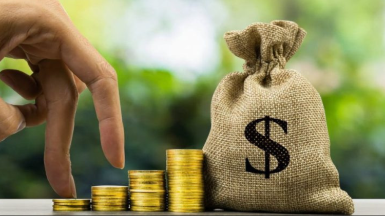 التوزيعات النقدية